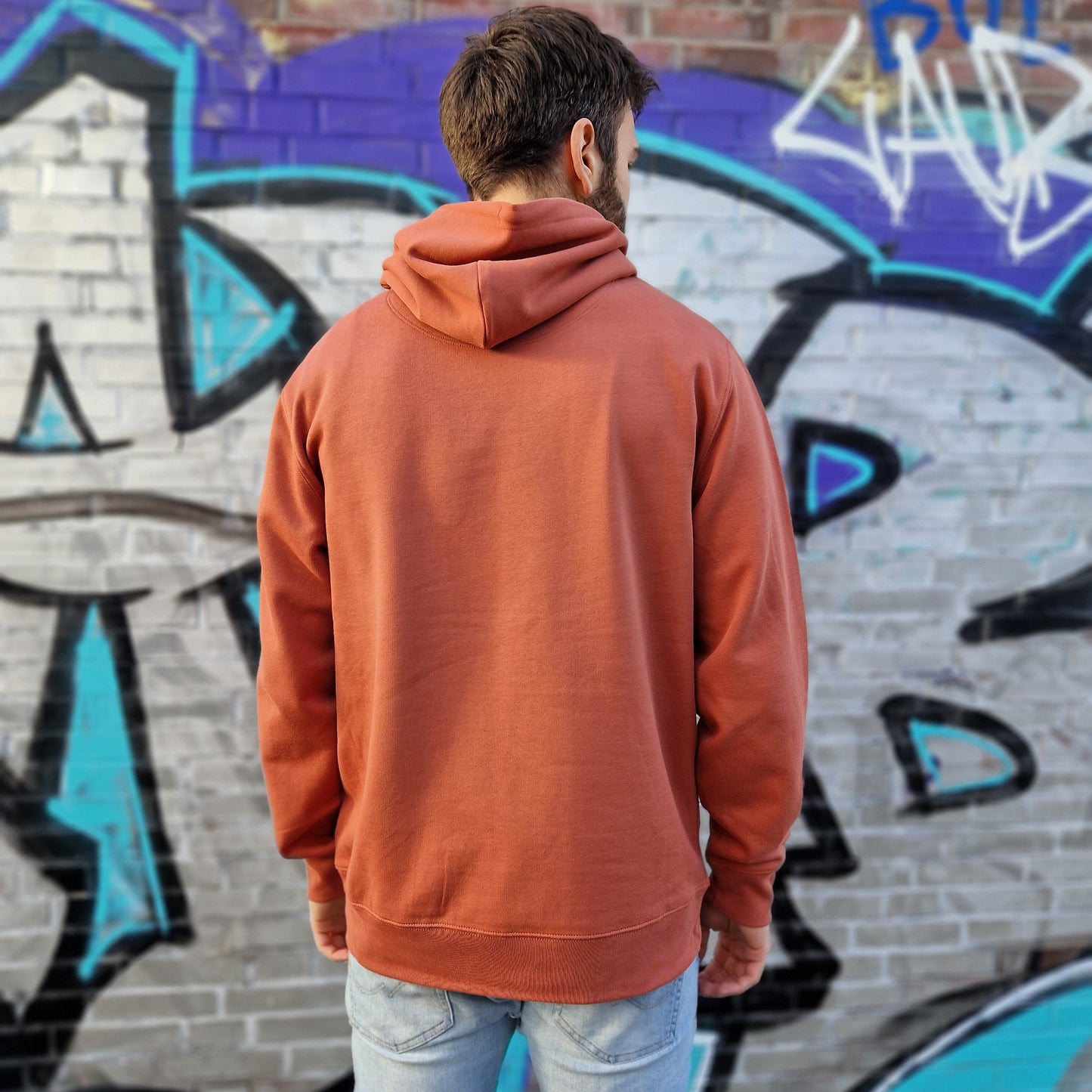 LS Hoodie classic fit Rückseite braun mint Logo